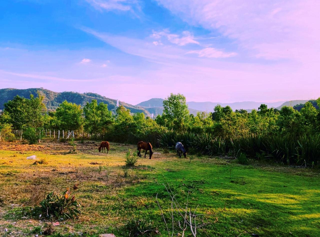 Rancho Reencuentro Eco Hotel & Cabalgatas Вале де Браво Екстериор снимка